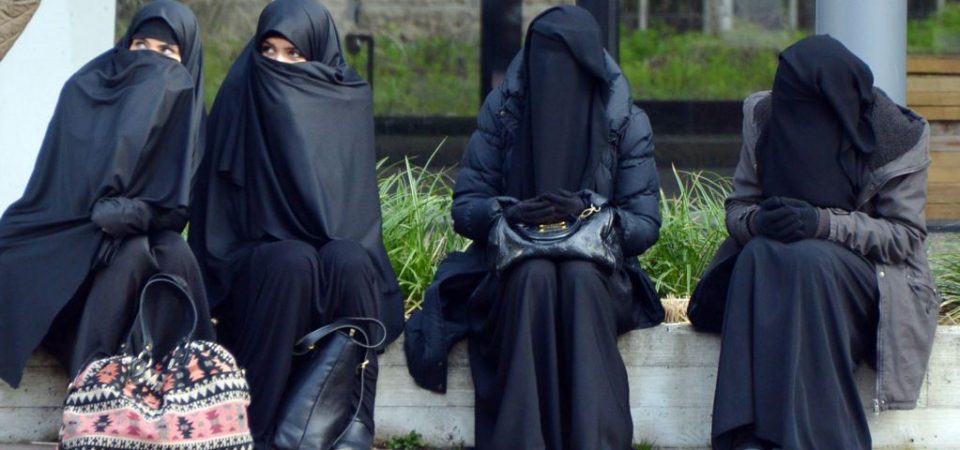 Sekadar gambar hiasan.