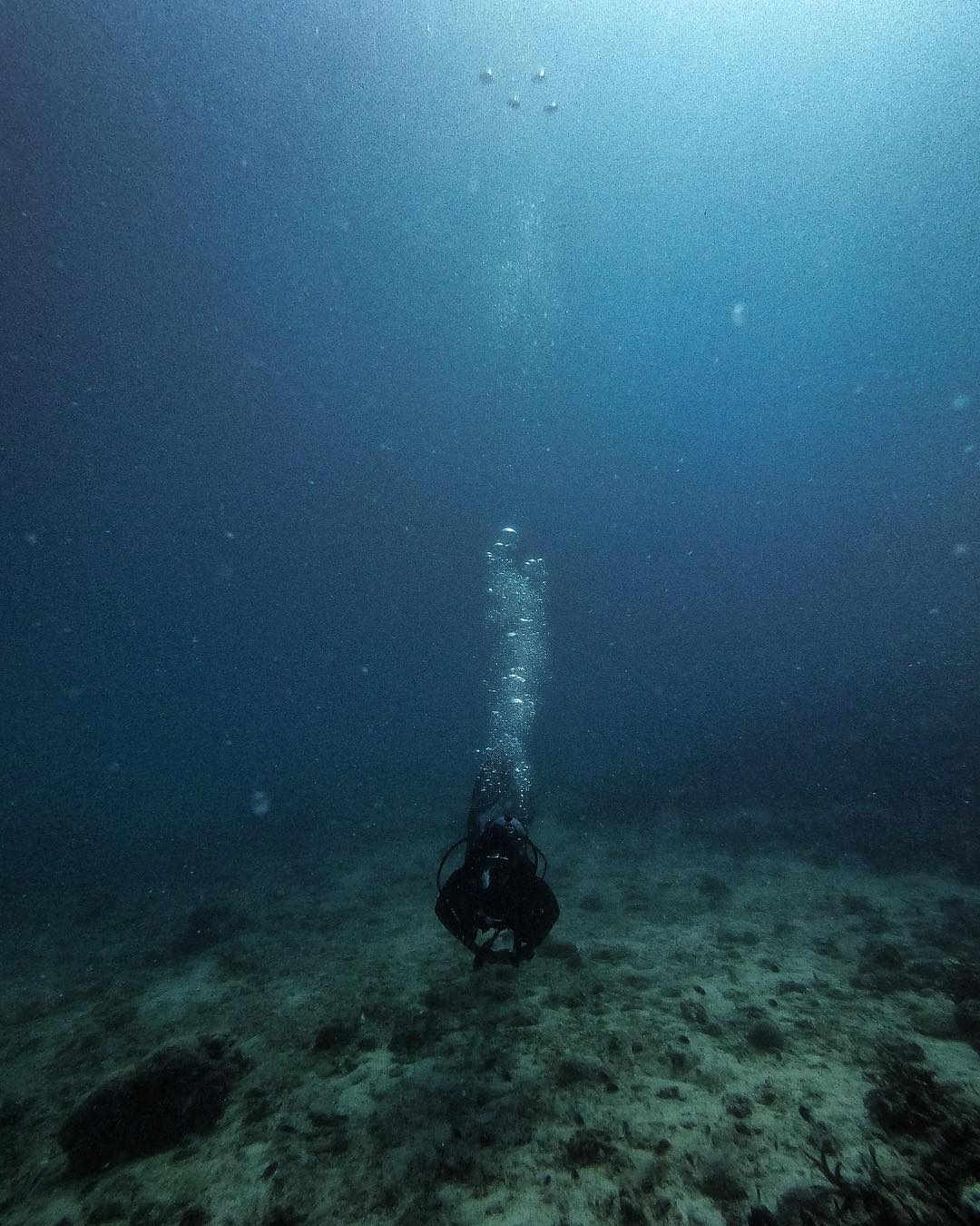Antara hasil gambar Hero 7 ketika di dasar laut.