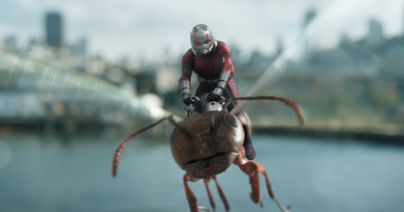 His little friends are also here to help in 'Ant-Man and The Wasp'.