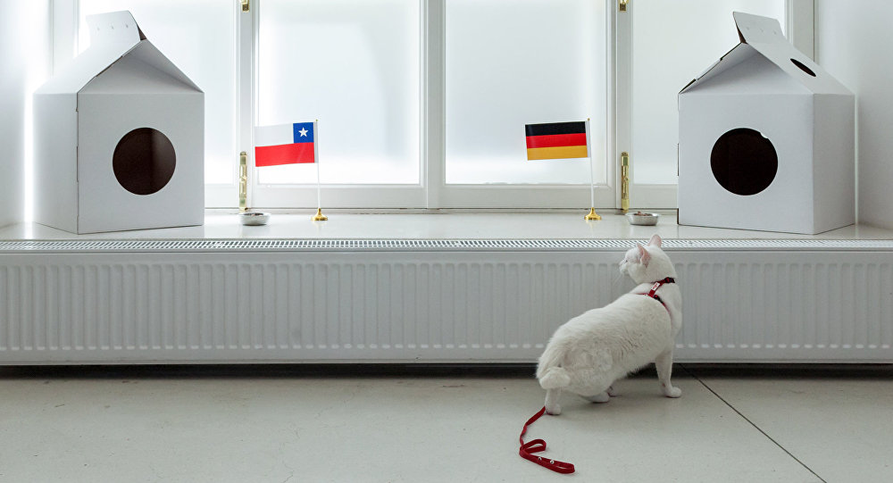 Team Germany, FTW!