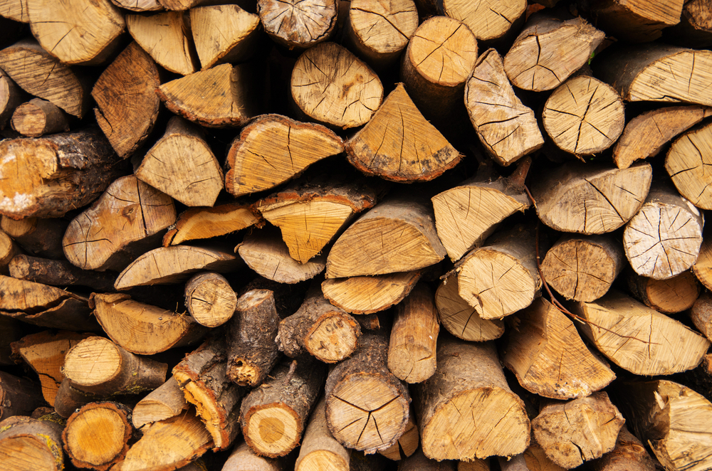 Don't be a 'kayu'.