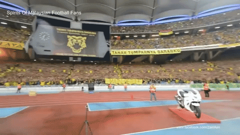Spirit of the Harimau.