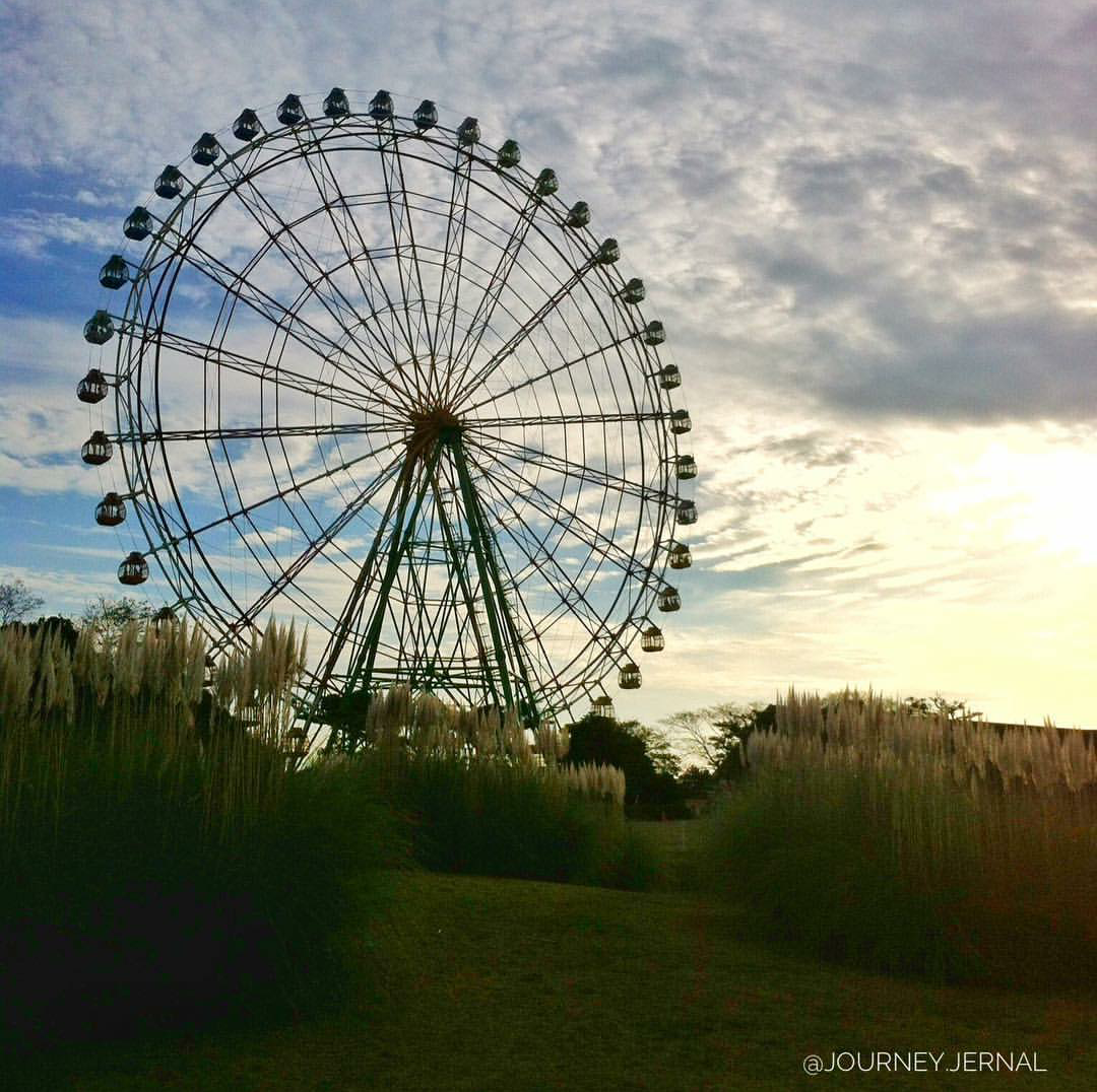 A georgeous wheel at Hitachi Seaside Park in Japan.